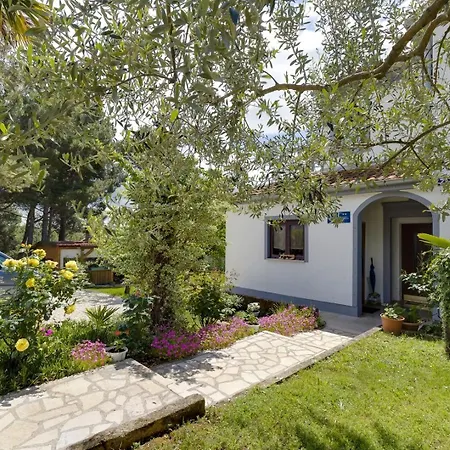 בית הארחה Dado 3*